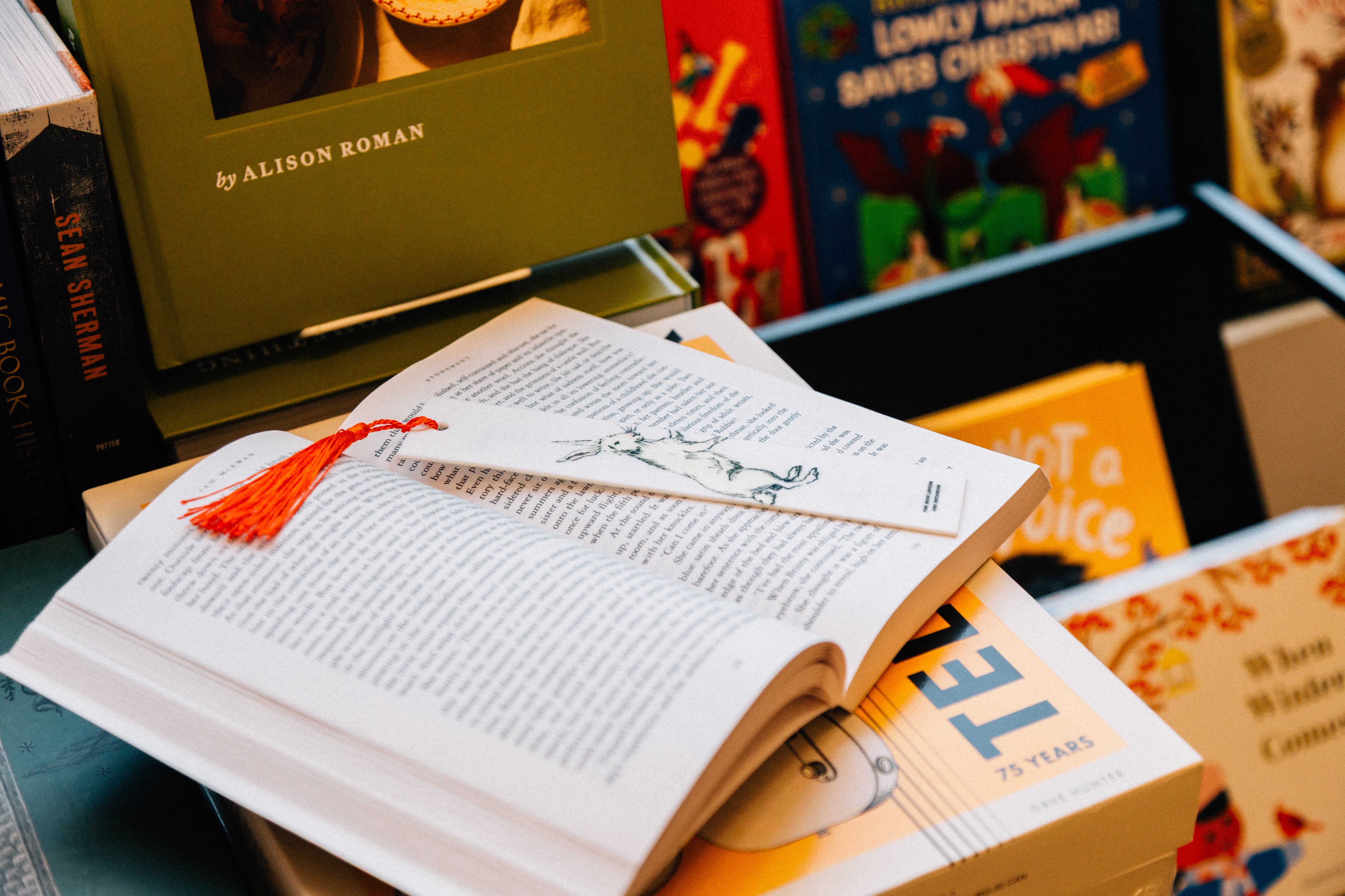 All Book Club Items – Laufey Merch